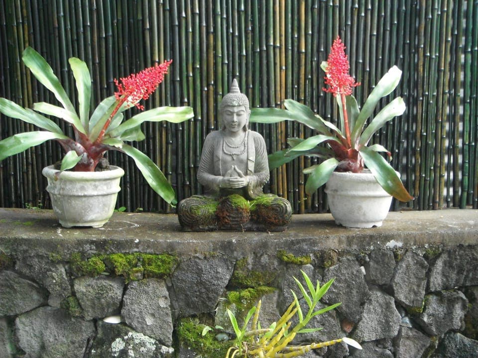 Peaceful garden retreat
