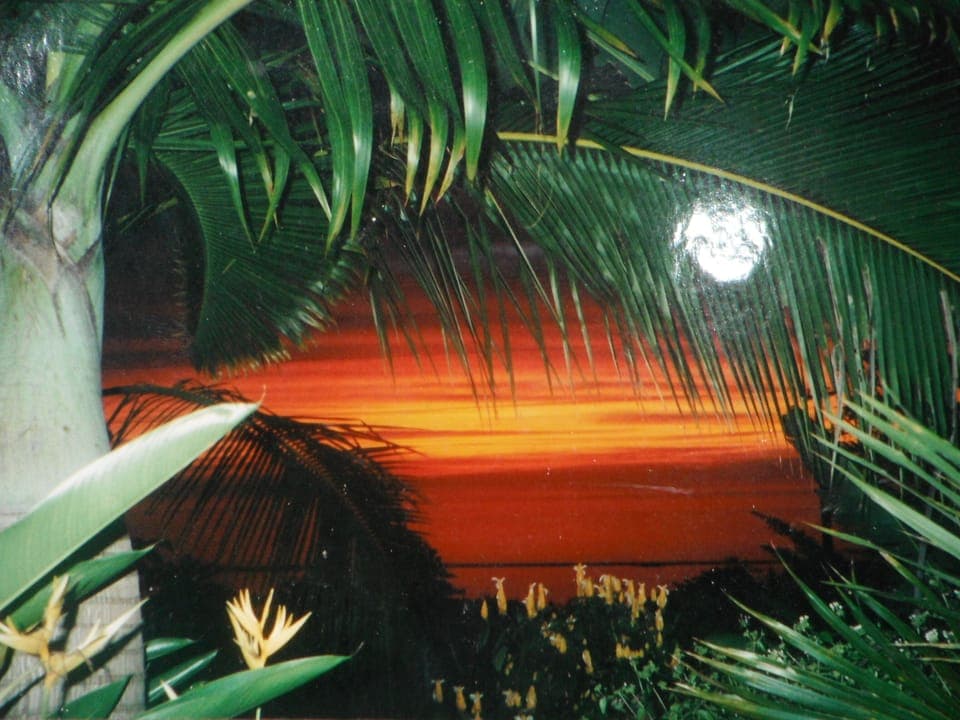 Glowing Sunsets Await!