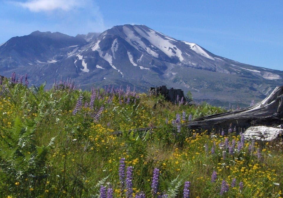 Explore Mount St Helen.