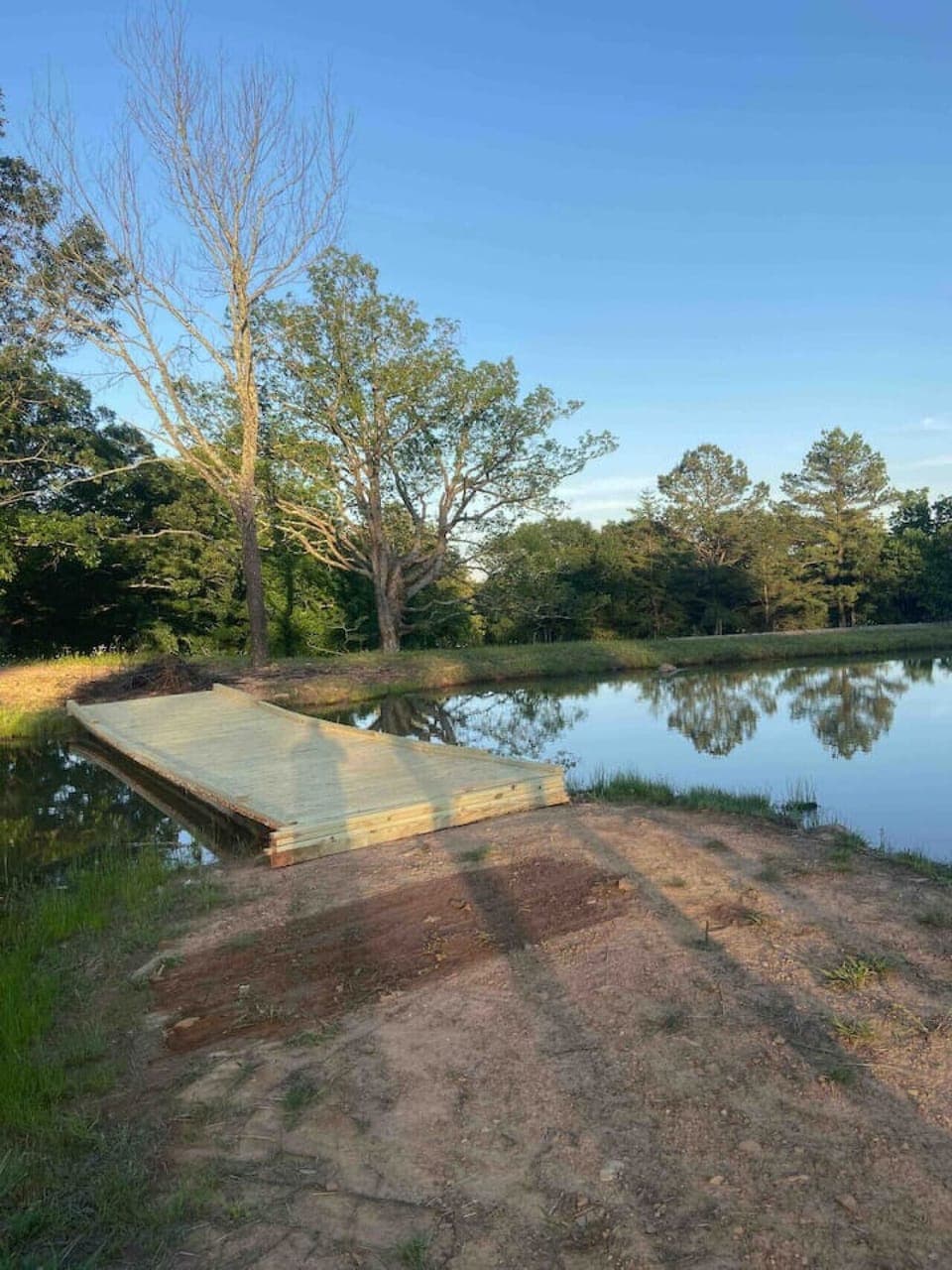 Fish from the bridge that connects the two sides of the pond!