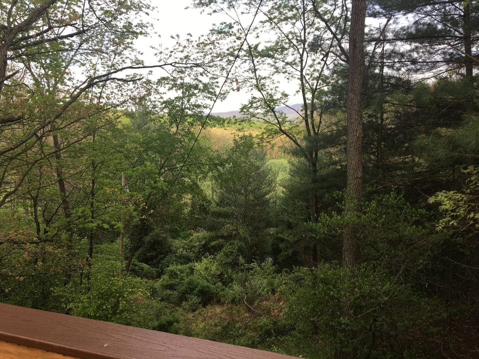 Views from treehouse deck