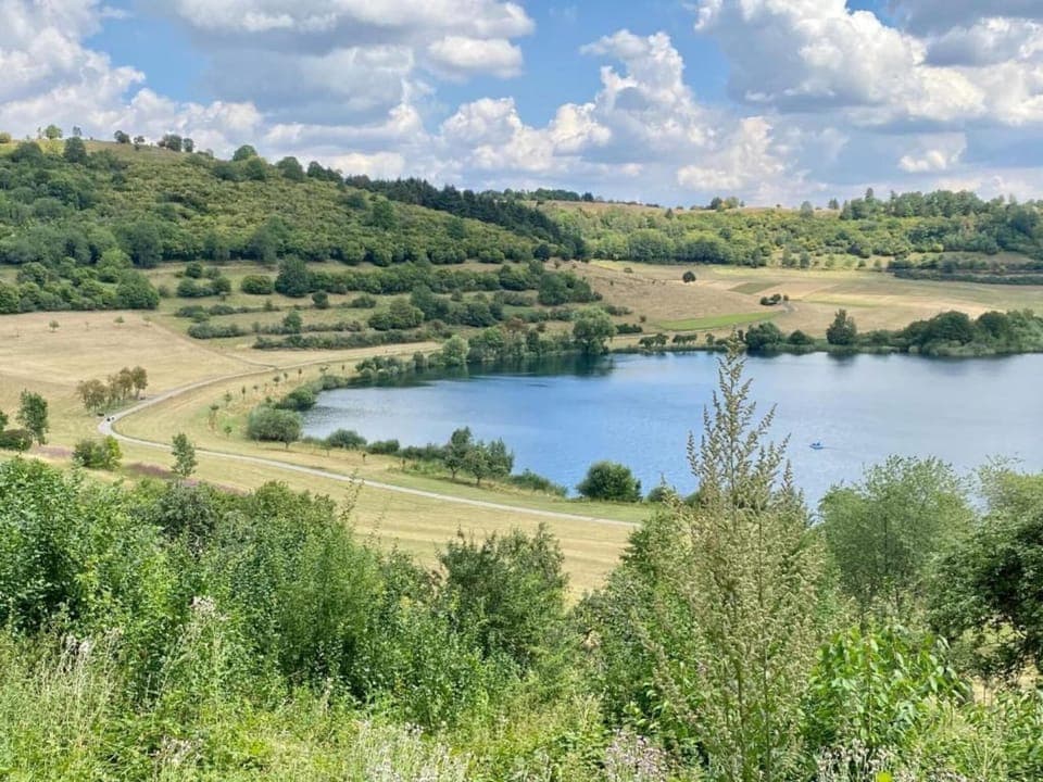 Region [summer] (>5 km)