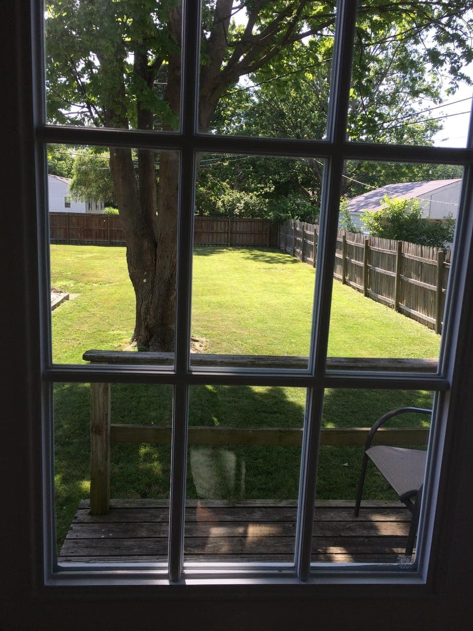looking out the back door
