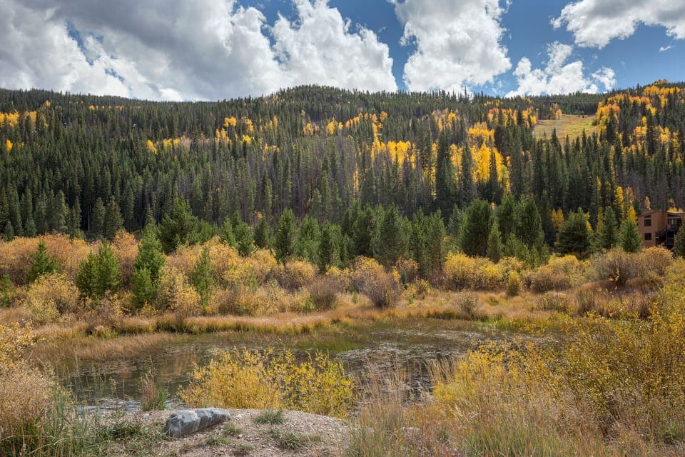 View from Snake River Village