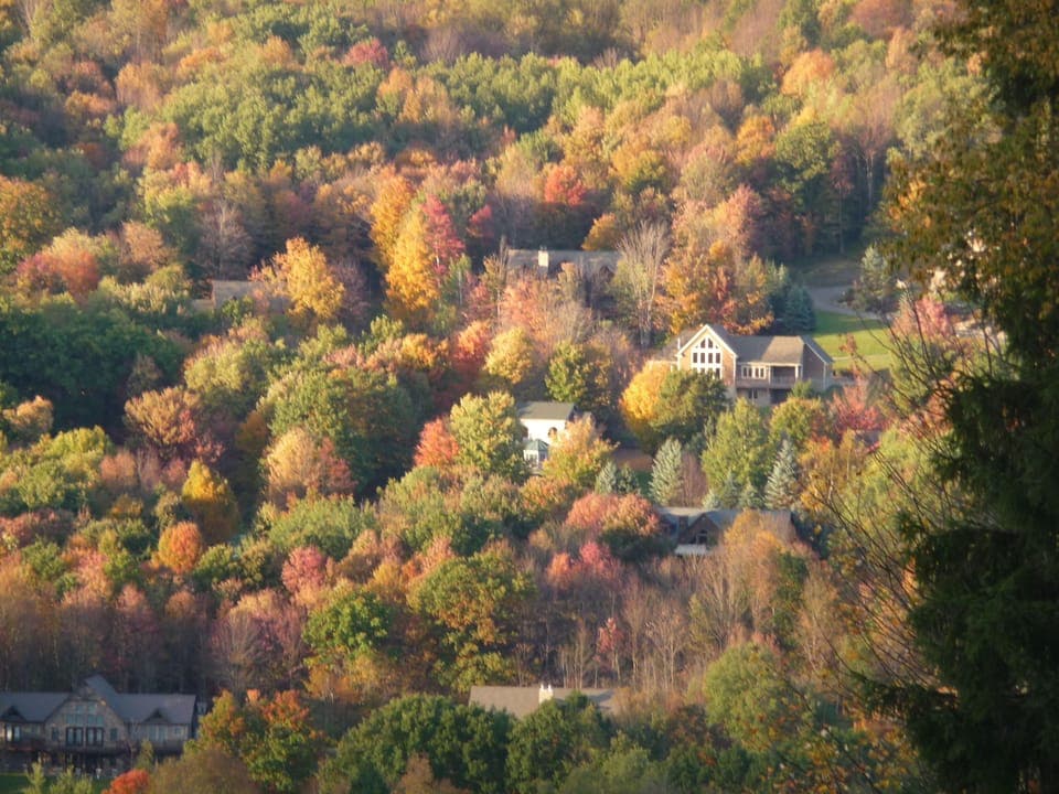 Gorgeous views walk to Arbor Park, Town Park, bowling ally, Library and Town!!!   