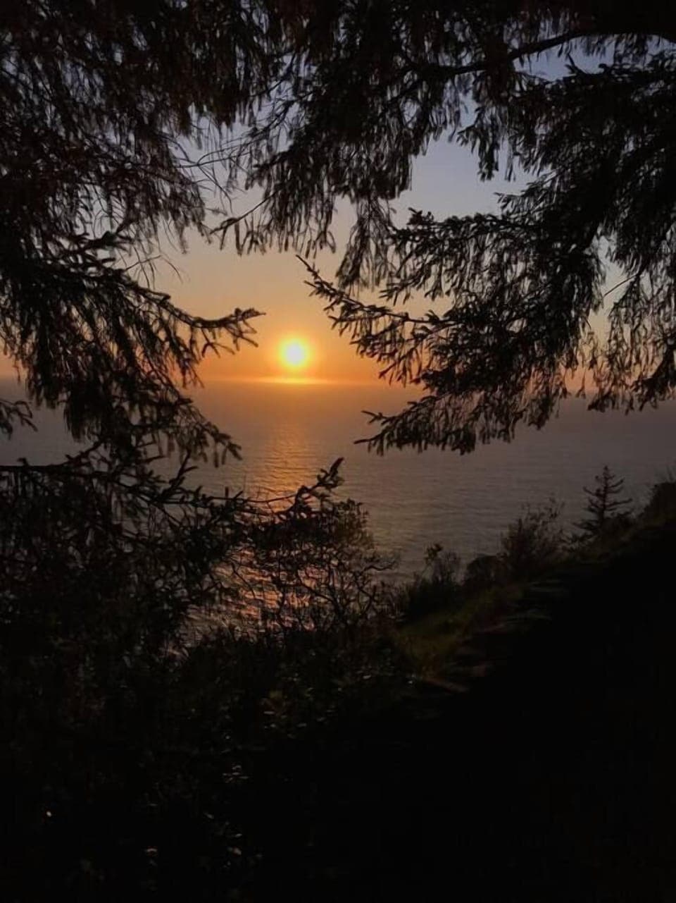 f2db65b4-eed7-492a-b16f-e9f42281e57b