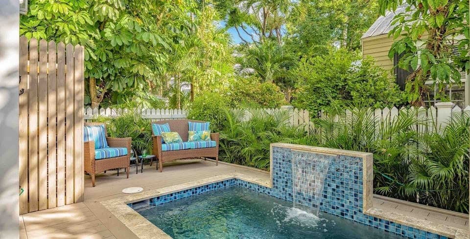 Welcome to the ZESTY LIME...