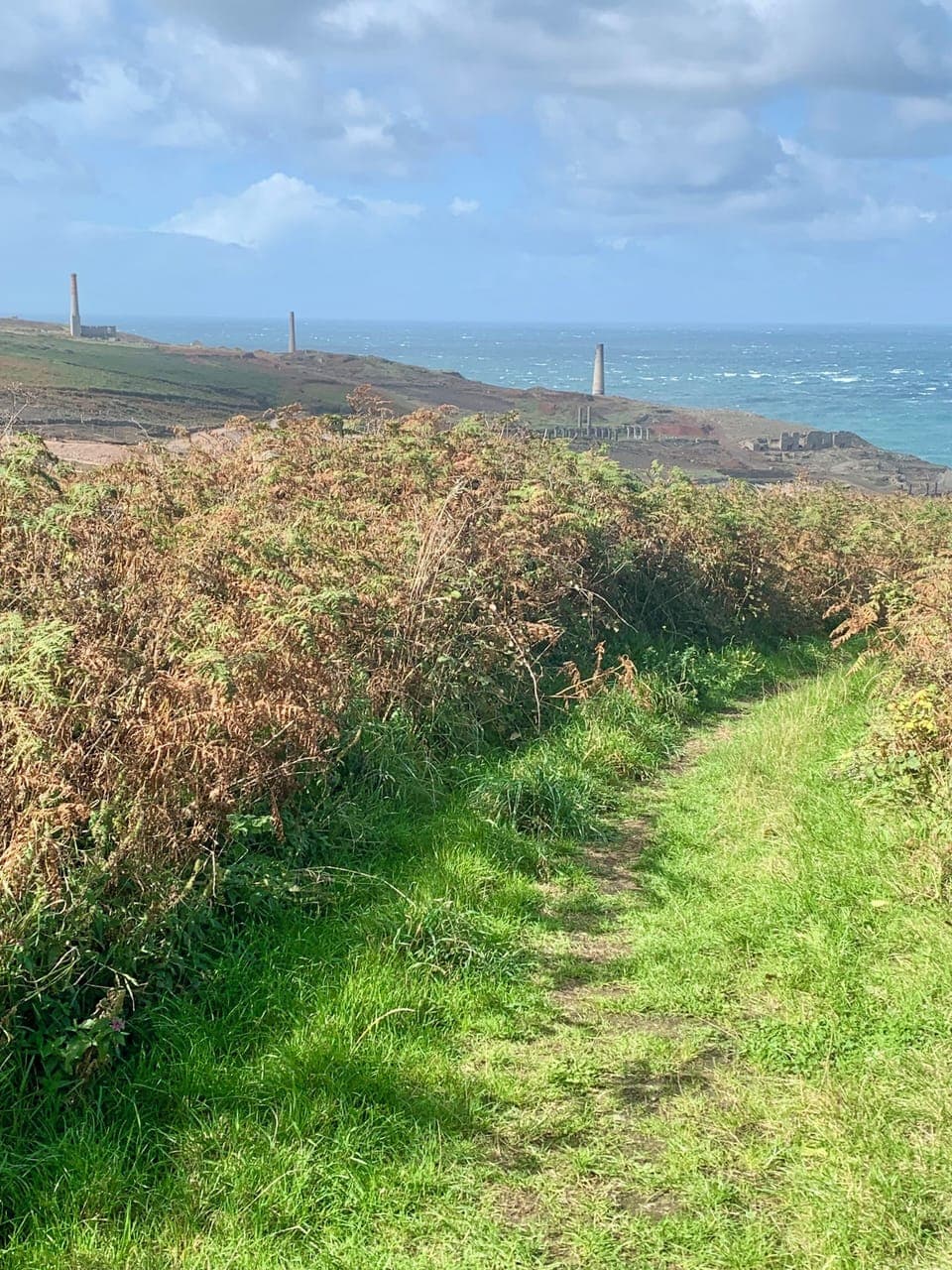 Walk out of the house to the left onto the coastal path to Geevor and the Cape 