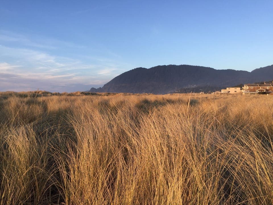 View of Neahkahnie Mountain Mountain from beach path