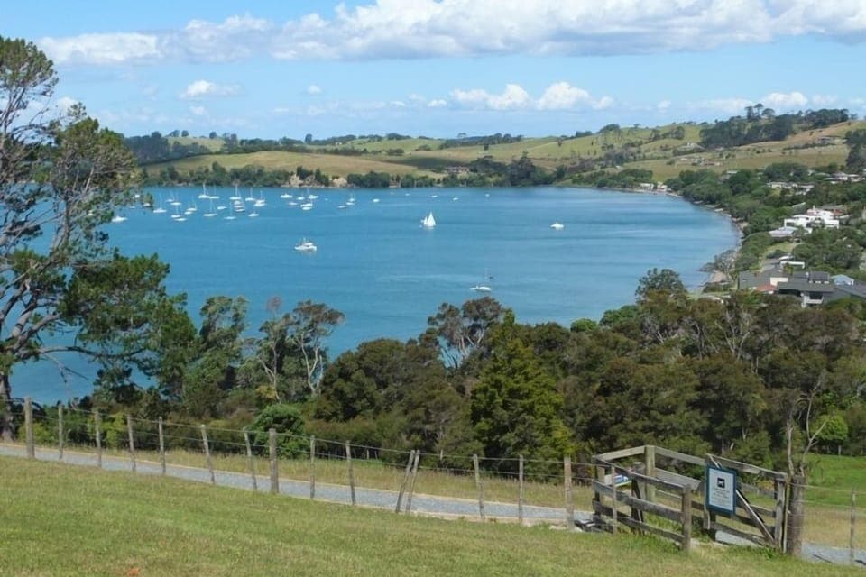 Algies Bay from Highfield
