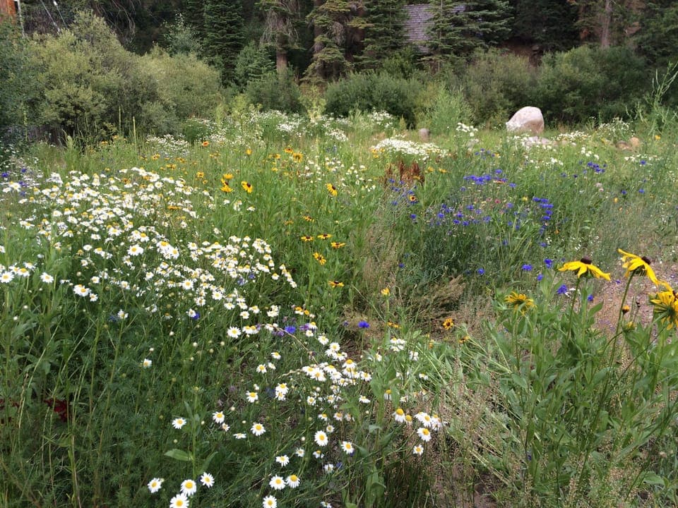 Tahoe in Springtime is magnificant!!!