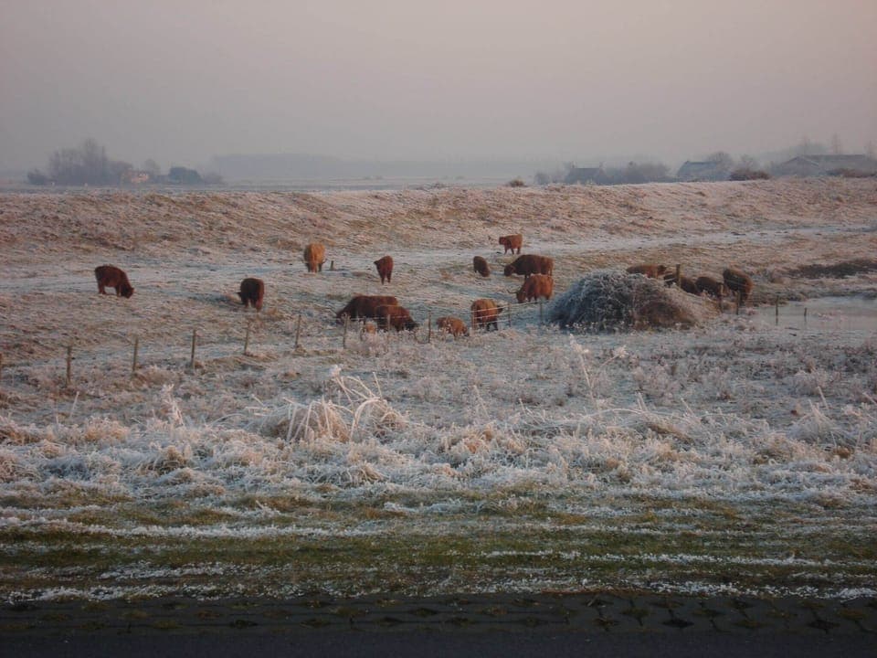 Immediate Surroundings [summer] (<1 km)