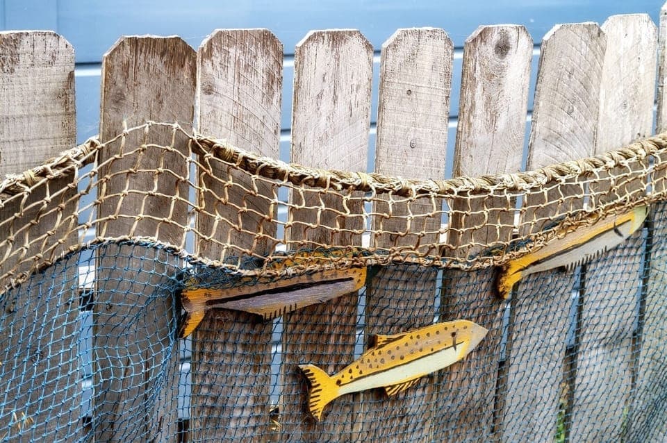 San Juan - Something fishy