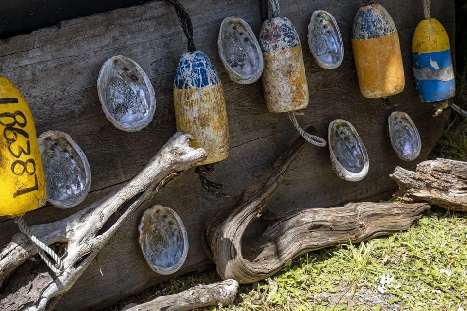 Driftwood - Being in a working harbor is awesome