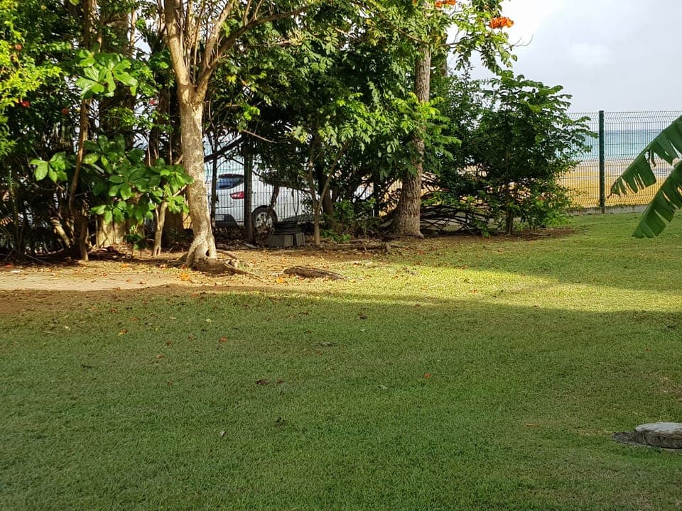 Property grounds