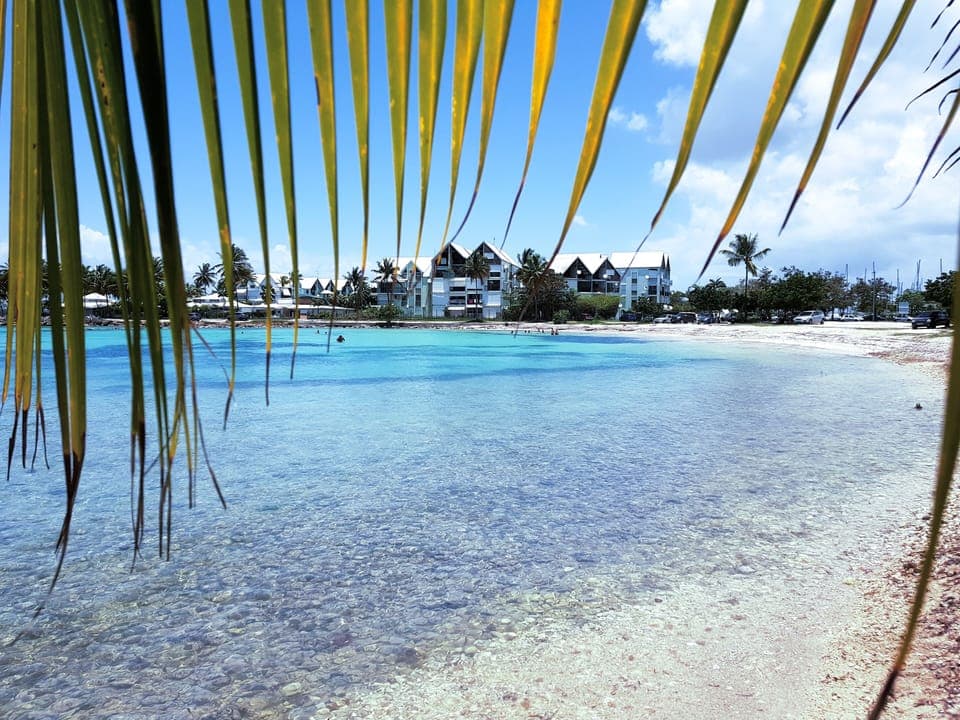 Beach