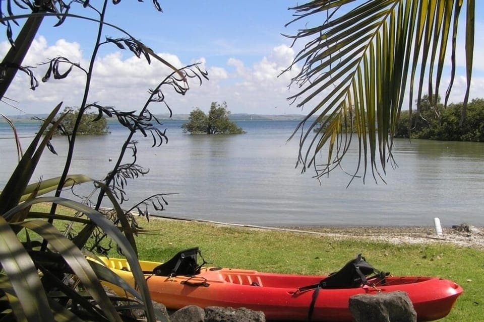 Through the looking flax.