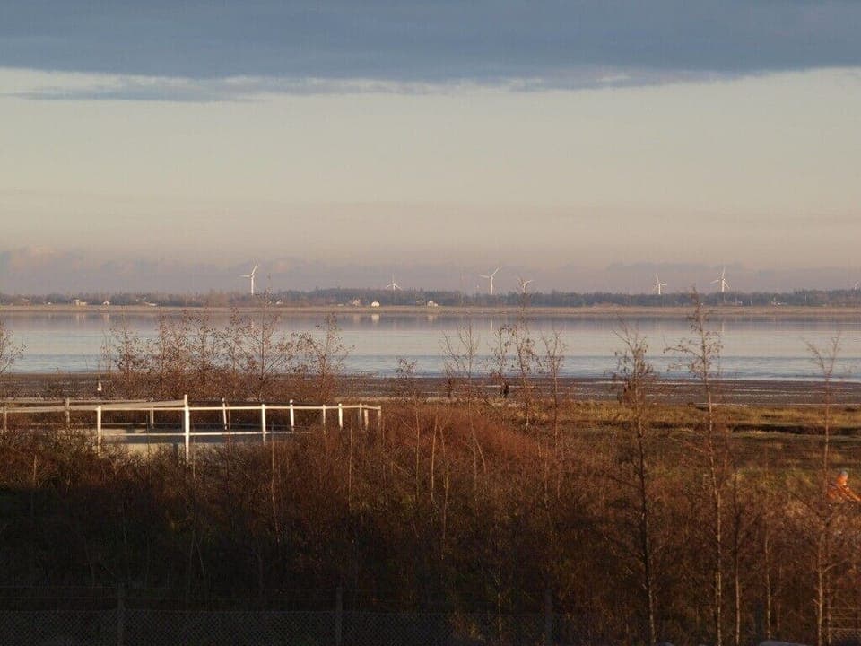 View of the Wadden Sea