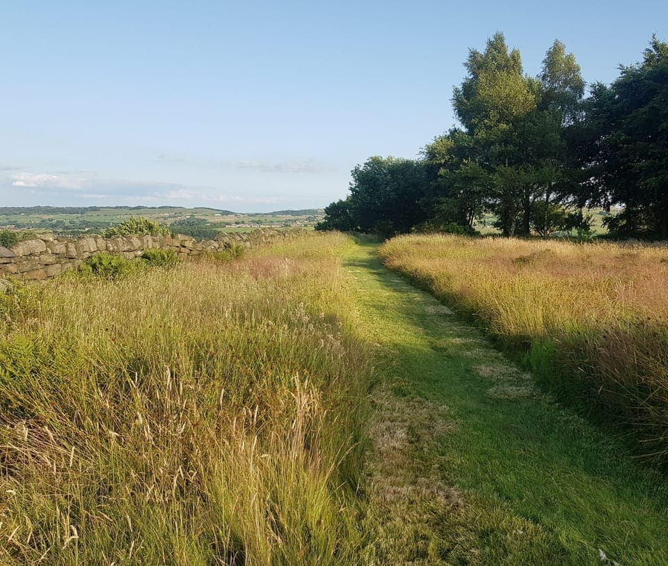 This is our wild garden, directly accessed from the cottage. 