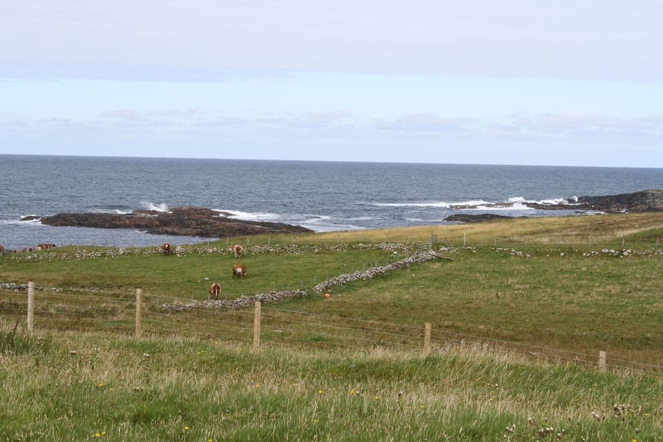 The cottage is in a crofting area used to graze cattle and sheep