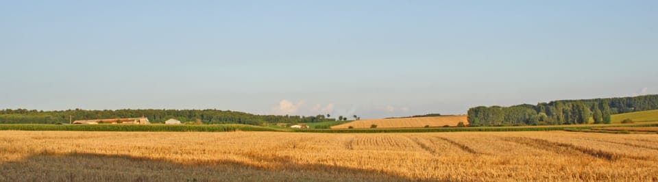 View of Open Countryside