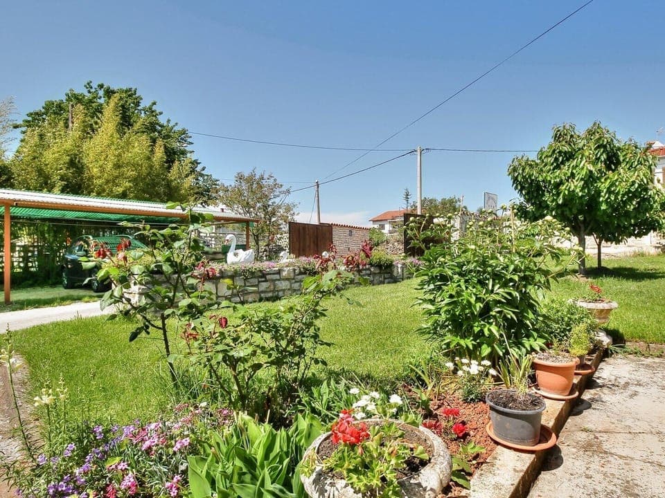Shared garden