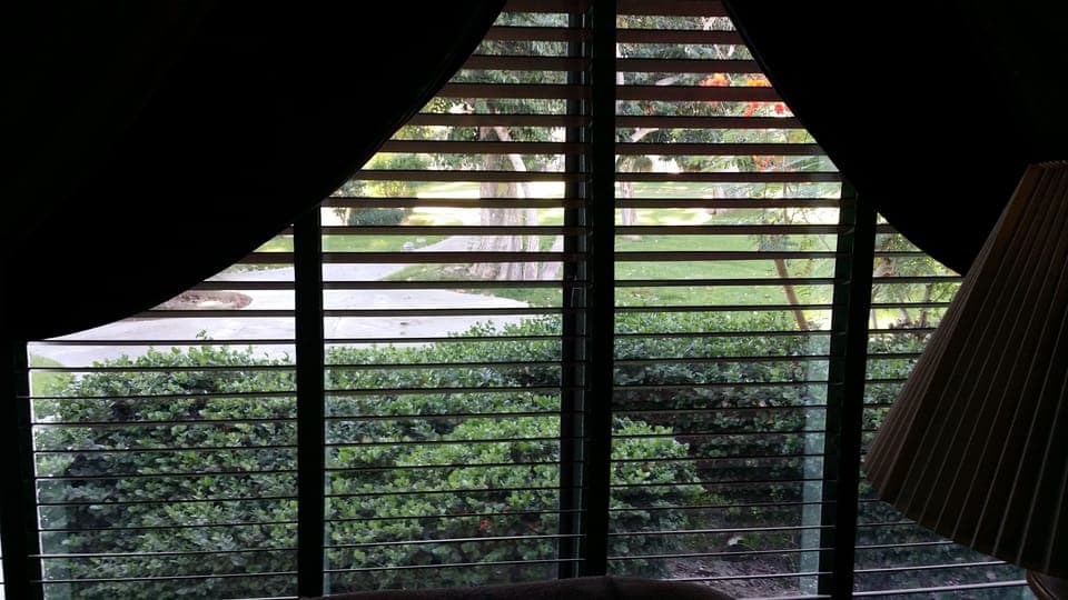 View outside the living room window when wooden blinds are opened. Enjoy nature
