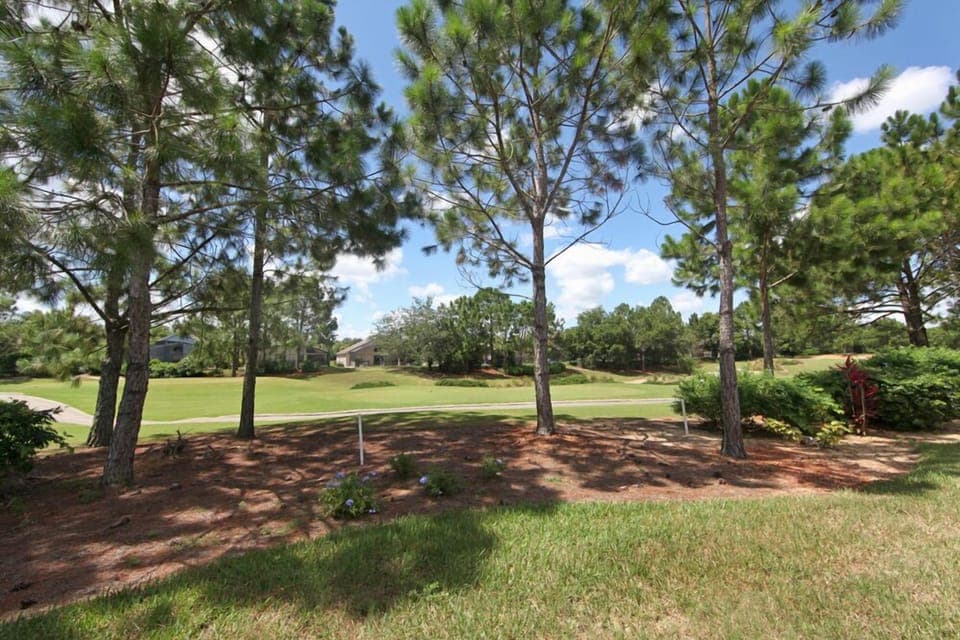View from our patio of the 2nd Tee
