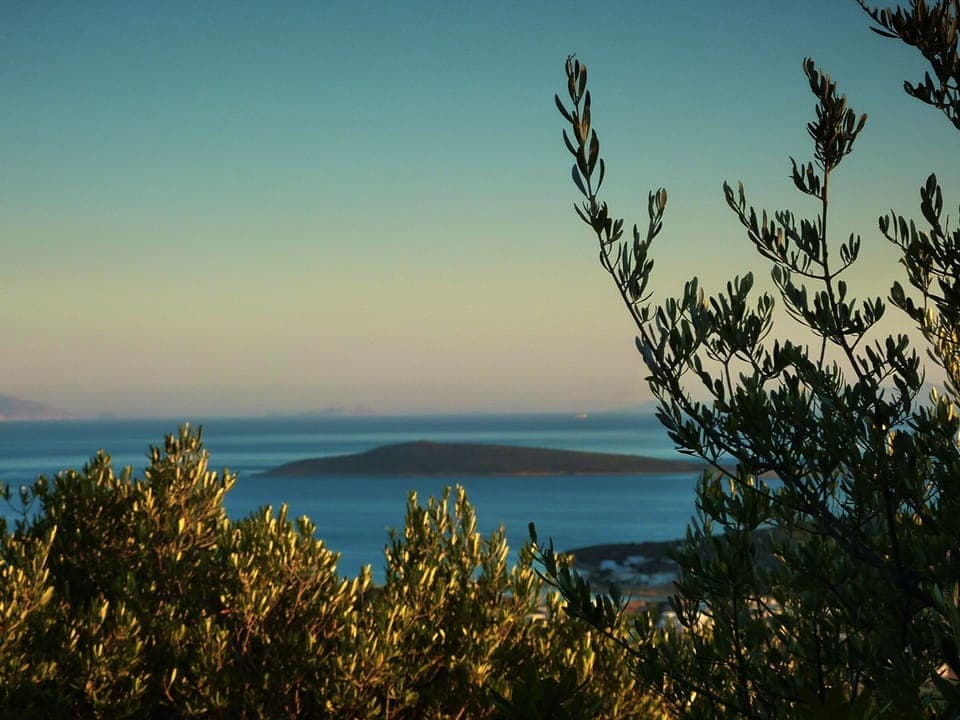 Garden view towards blue lagoon