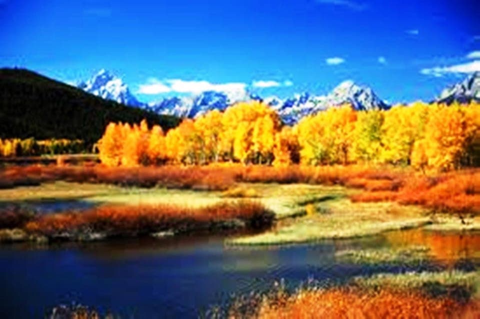 Beautiful in all seasons.