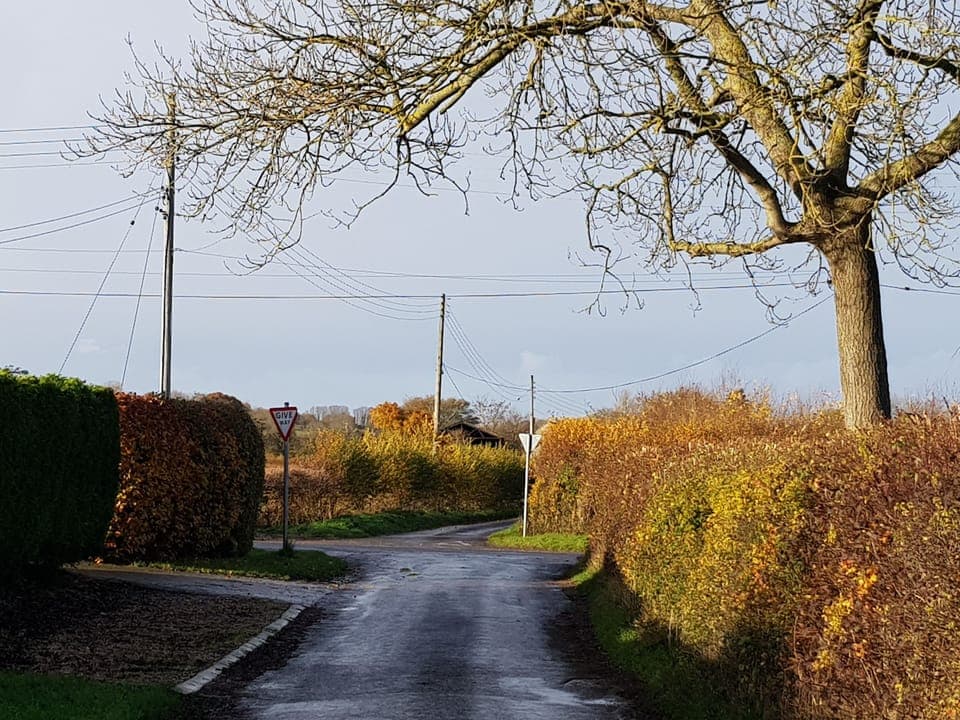 rush hour in badgers cross!