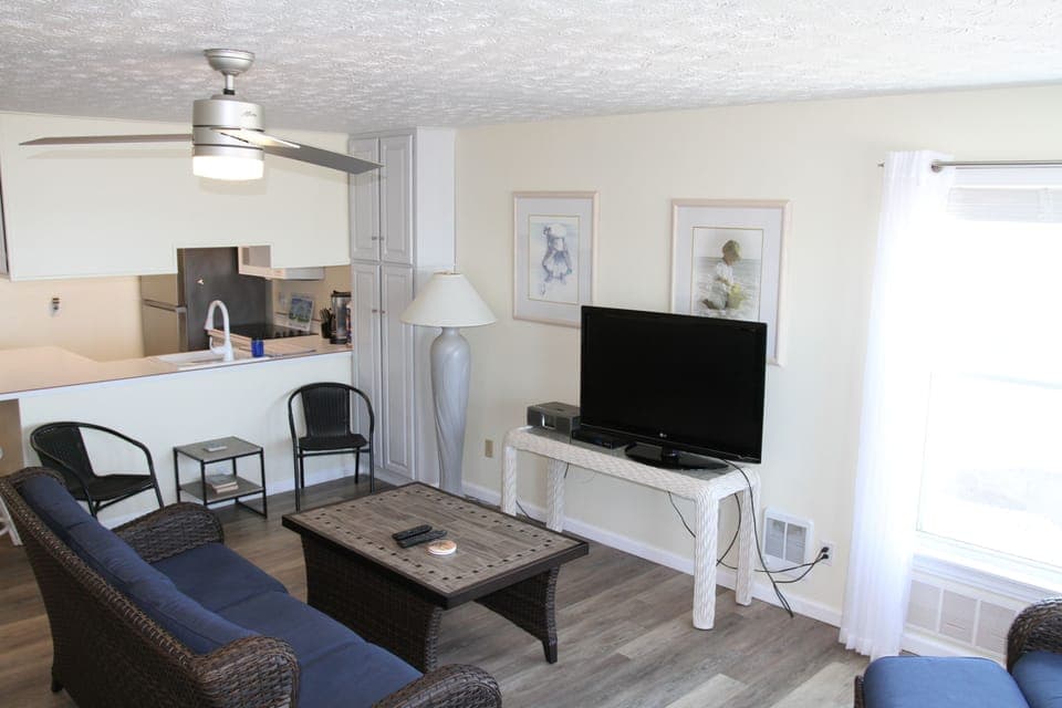 Living room sofa, TV, and dining side chairs.