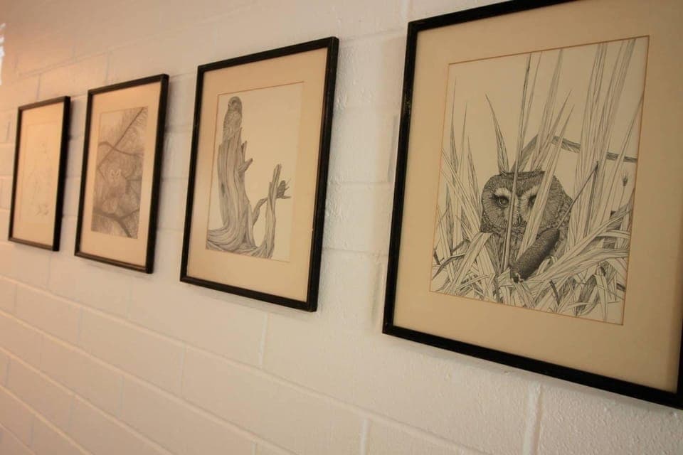 We sometimes have owls in the trees outside but they are always in the hall.