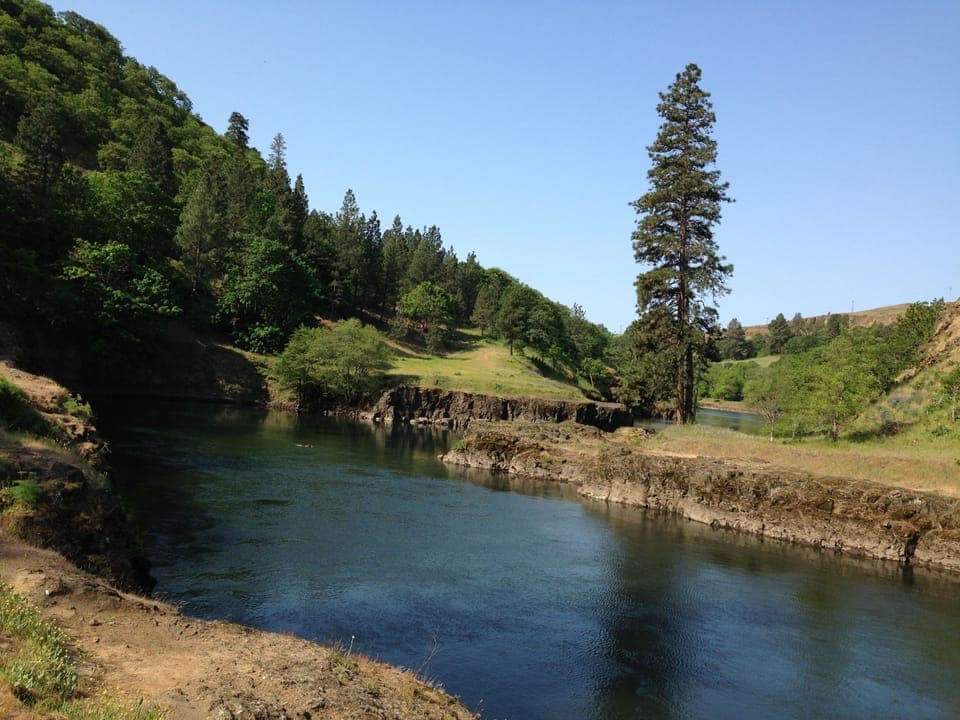Klickitat river from First Park swimming hole, about a mile up Klickitat hwy