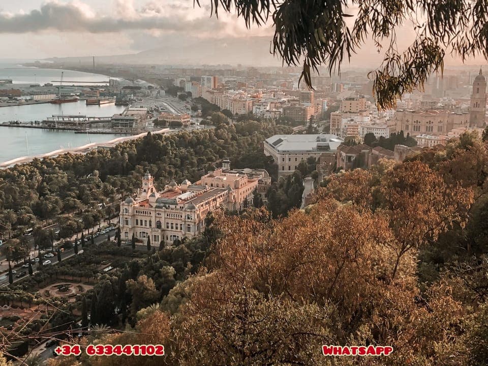 Search urbanchicmalaga nuno to contact directly.