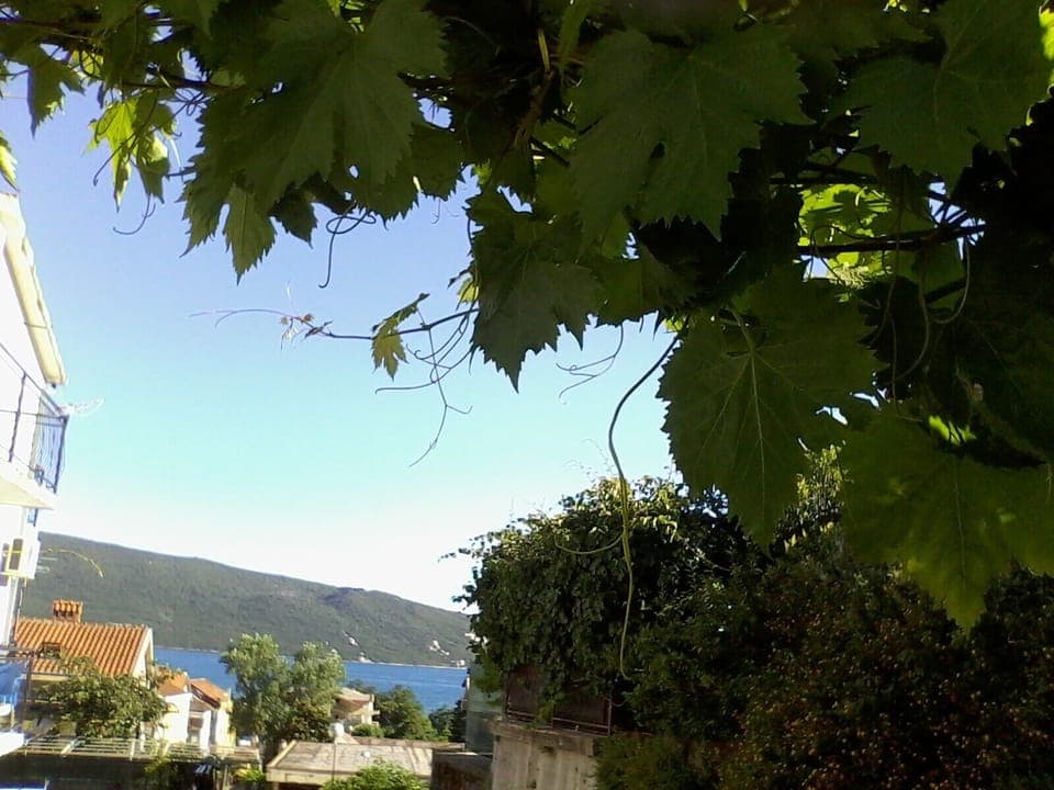 Street view (the apartment is in the white house on the left)
