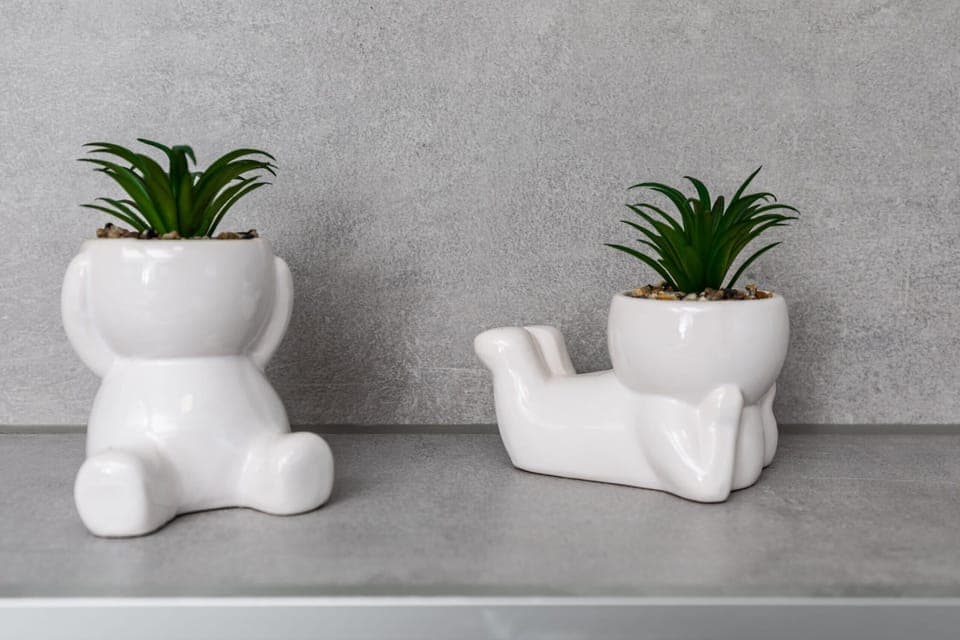 Two decorative potted plants sitting on a white shelf, adding a minimalist and natural accent to the space.