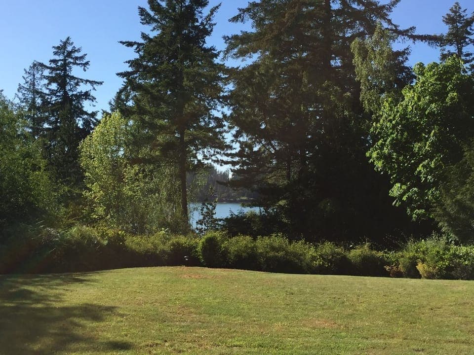 Green, grassy, lawn for lawn games.