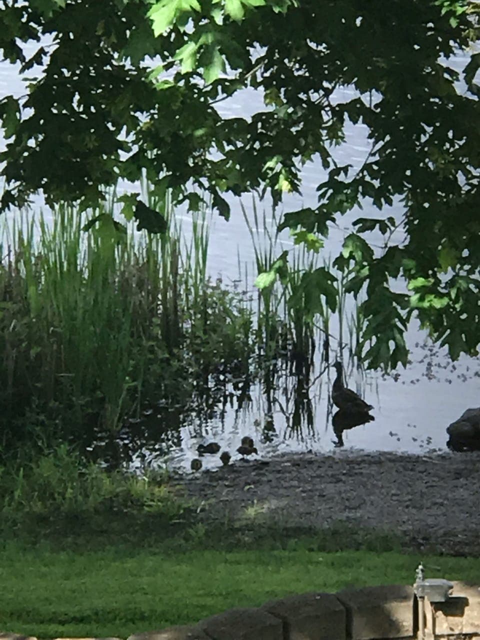 We are a nursery for babies.