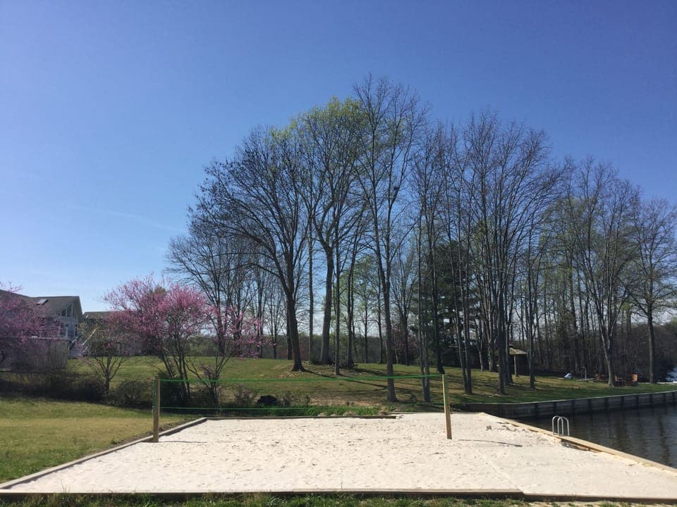 Volleyball Court
