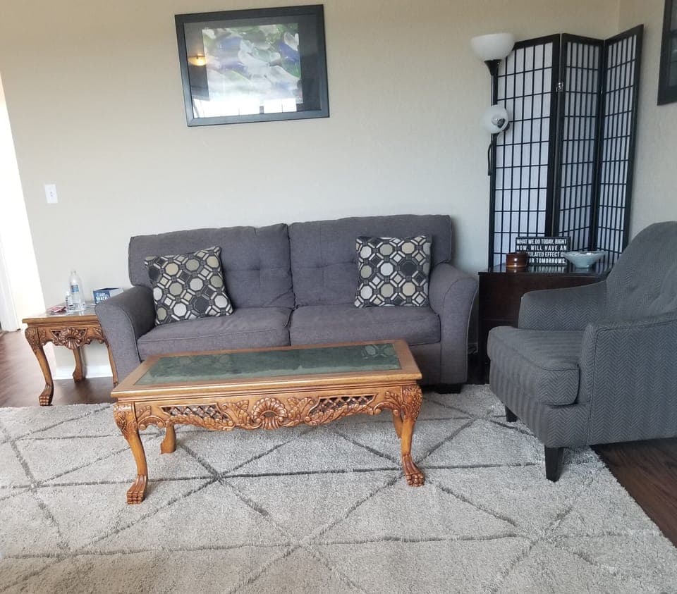 Unit 203: New living room with Queen sleeper.