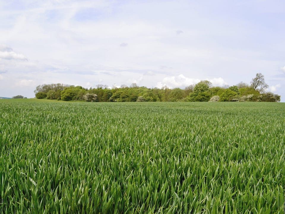 Surrounding area | Ash Farm Barns - Wagonner&rsquo;s Barn, North Willingham, nr. Market Rasen