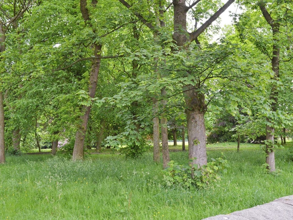 Manor park across from front of property | Park View Cottage, Glossop