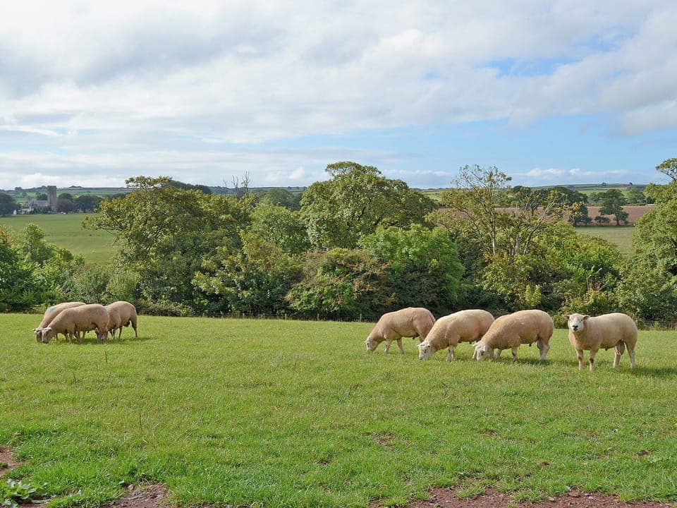 View | Shepherds Lodge , Lamphey, nr. Tenby