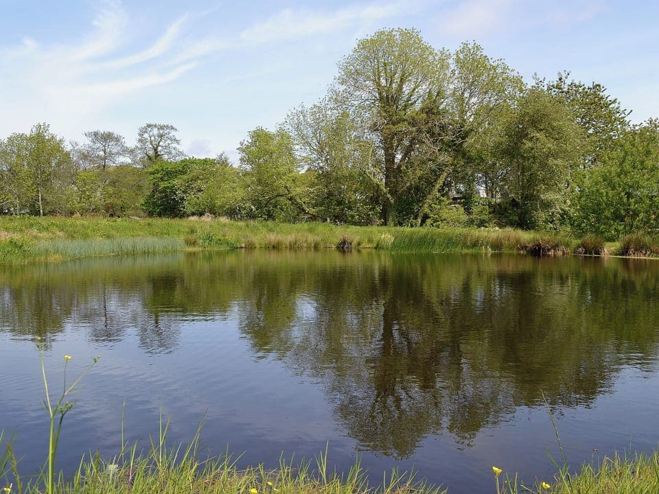 Garden and grounds | Tigh A Vullin, Ardfern, nr. Lochgilphead
