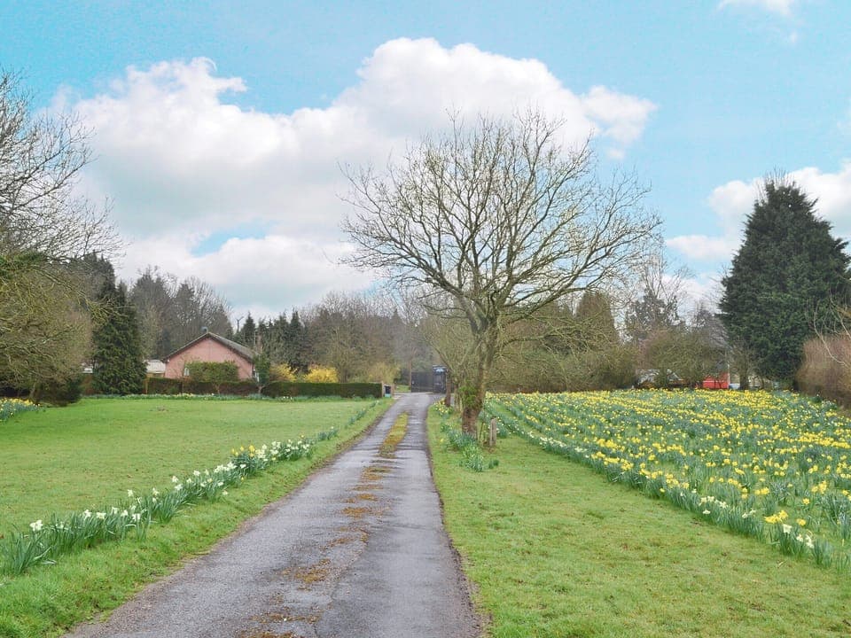 View | West View, Sturminster Marshall, nr. Wimborne