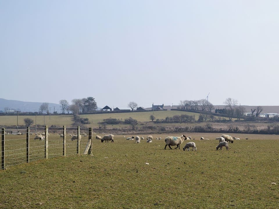 View | Bodwi Farm Cottages - Bodwi Bach, Nr. Abersoch