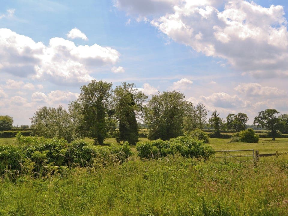 View | Saracens Retreat, Wickmere, nr. Sheringham