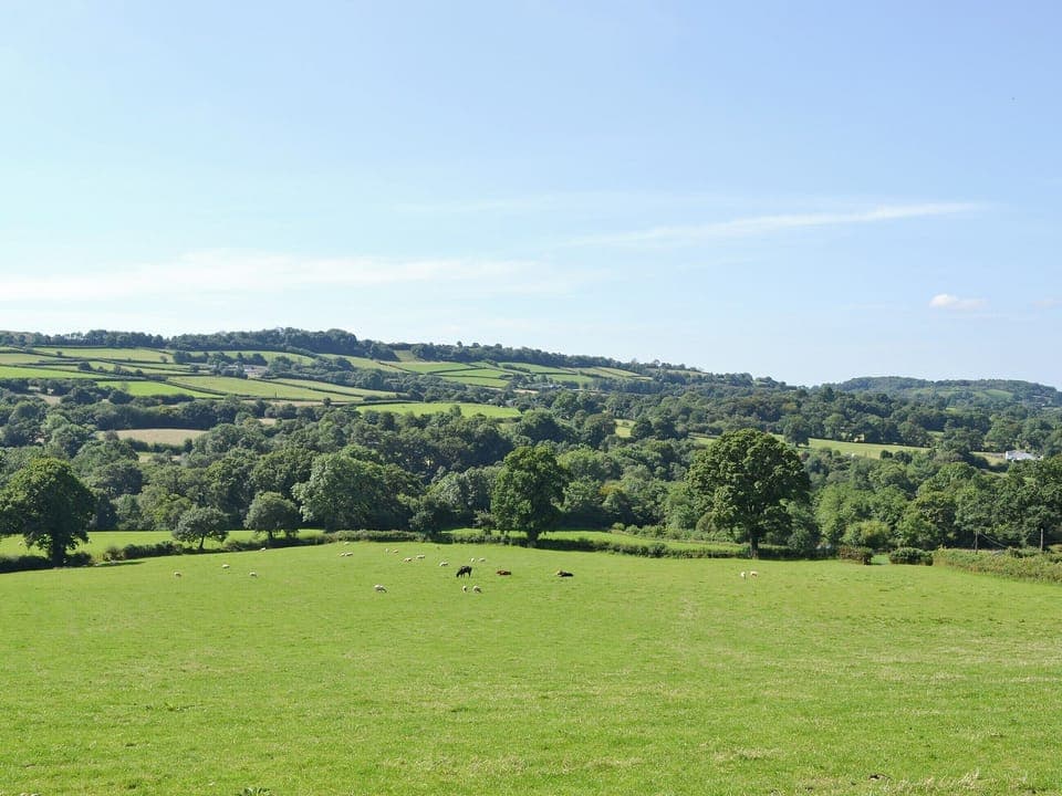 Lovely countryside surroundings | Ty Isaf Cottage, Trapp, near Llandeilo