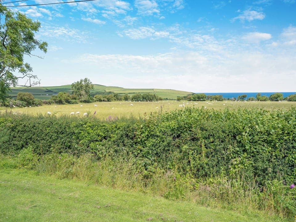 Surrounding area | Tranquillity - Dinas Country Club, Dinas, near Fishguard